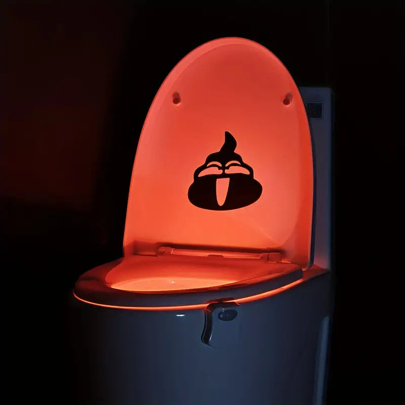 LED toilet light