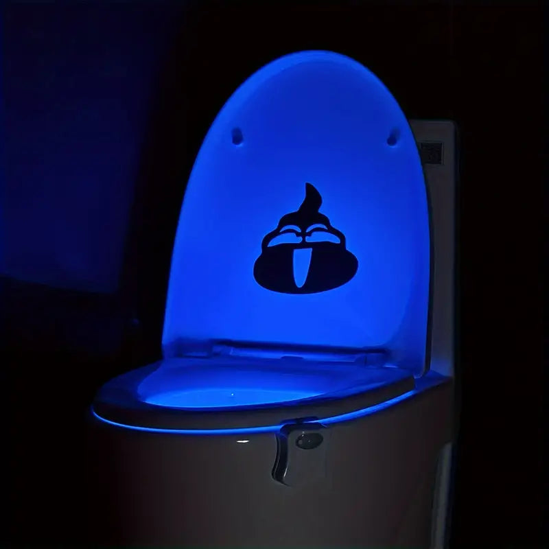 LED toilet light