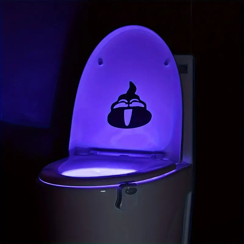 LED toilet light