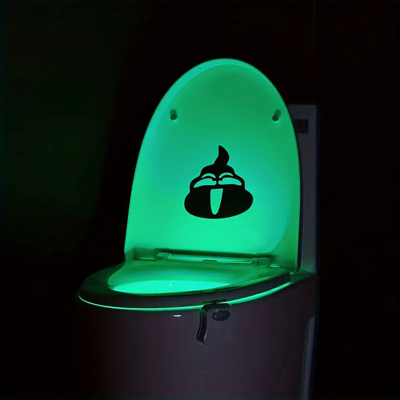 LED toilet light